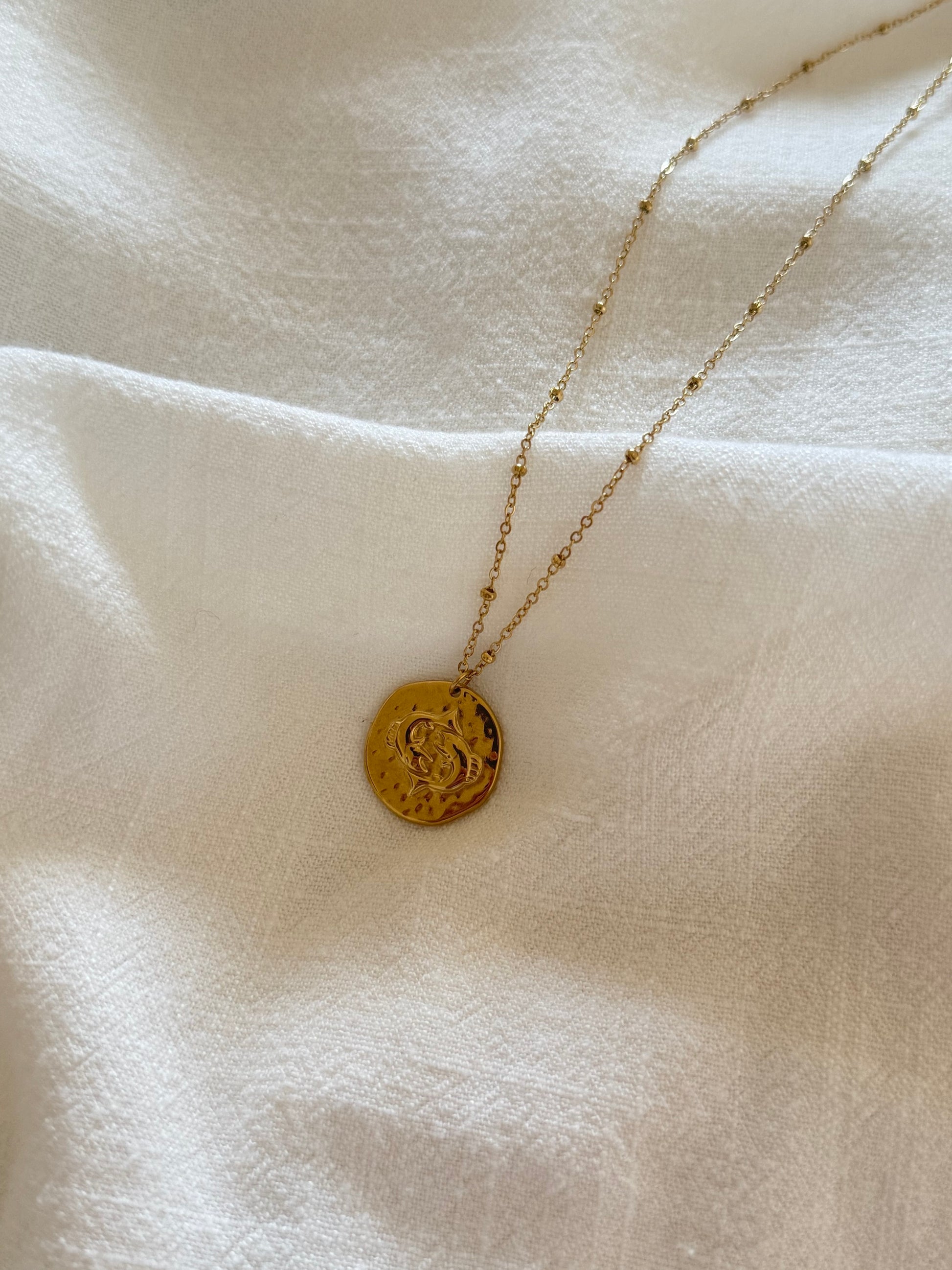 collier signe poisson