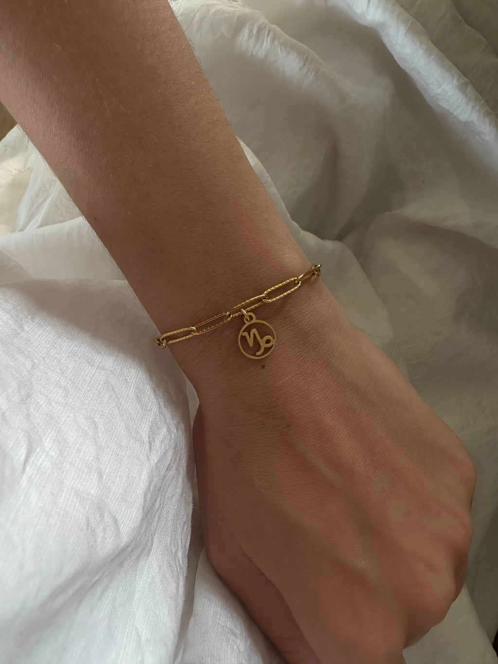 signeastrologiquecapricorne