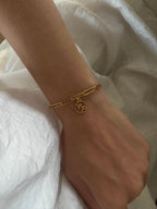 signeastrologiquecapricorne