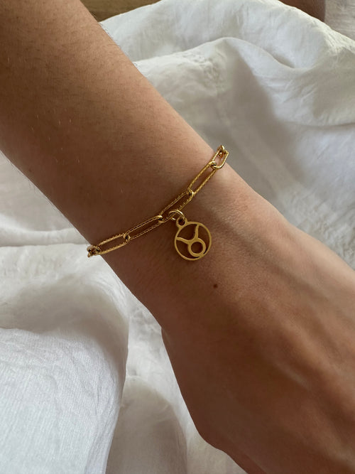 signeastrotaureau